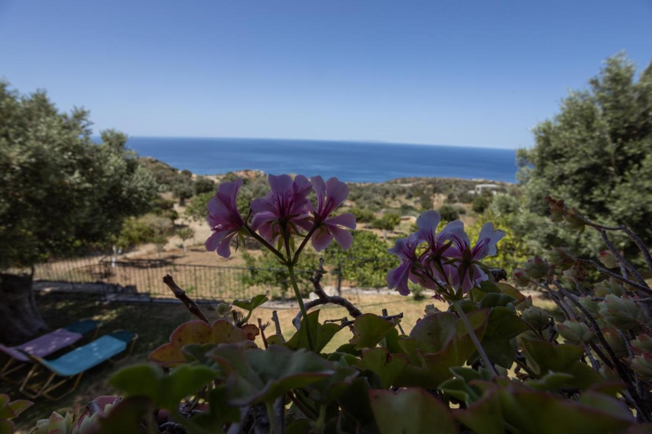 Manolis' House Villa Agia Paraskevi  Eksteriør billede